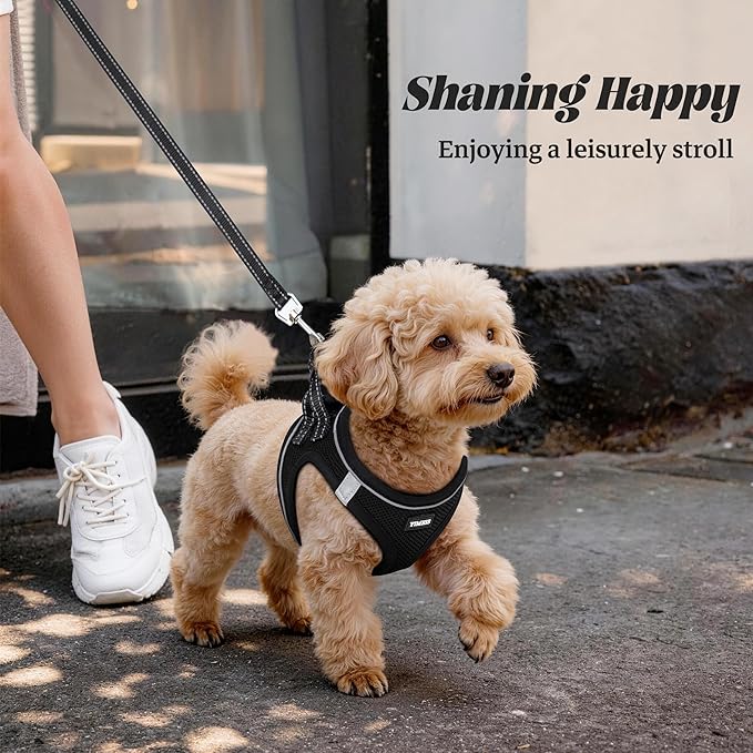 YIMEIS Dog Harness and Leash Set, No Pull Soft Mesh Pet Harness, Reflective Adjustable Puppy Vest for Small Medium Large Dogs, Cats (Black-Update, Medium (Pack of 1)
