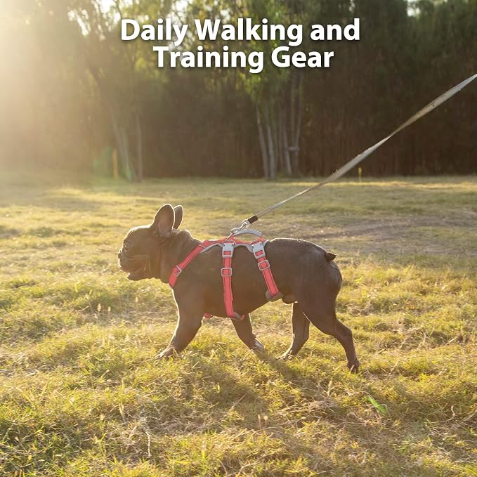 Huntboo Escape Proof Dog Harness, No Pull Reflective Harness with Lift Handle, Adjustable Pet Vest with Front and Back Leash Clips for Small Medium Large Dogs Walking Hiking Training (Red,XL)