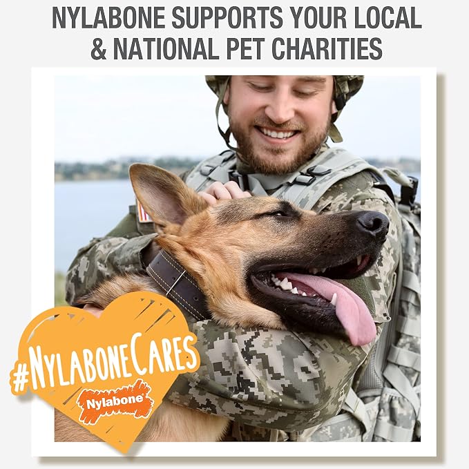 Nylabone Healthy Edibles Natural Dog Chews Long Lasting Chew Treats for Dogs, Roast Beef Flavor, X-Small/Petite (4 Count) (Pack of 2)