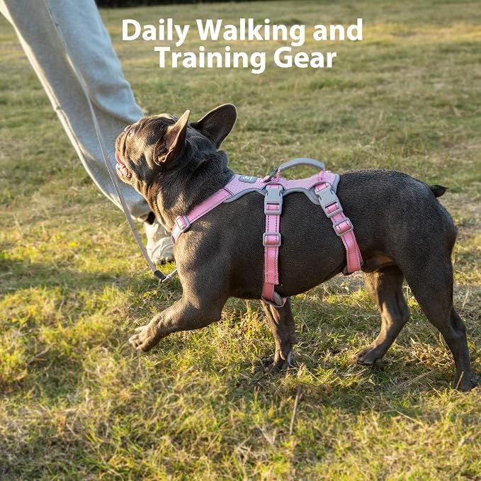 Huntboo No Escape Dog Harness, Escape Proof Harness, Fully Reflective Harness with Padded Handle, Breathable,Durable, Adjustable Vest for Small Dogs Walking, Training, and Running Gear(Pink,S