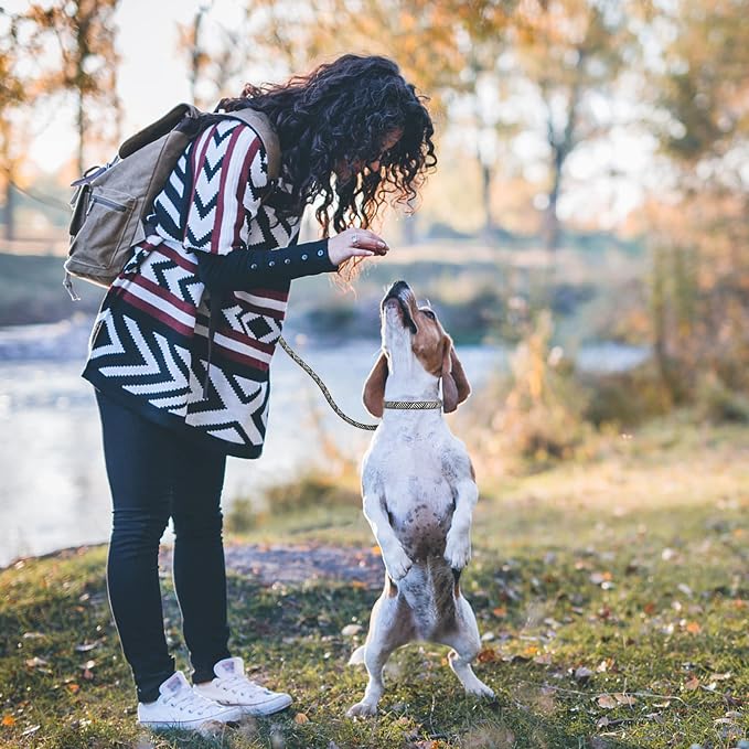 PetiFine Slip Lead Dog Leash,6FT x 1/2" Reflective Durable Dog Training Lead, Heavy Duty Adjustable Nylon Dog Rope Slip Leash for Small Medium Large Dogs (Grey)