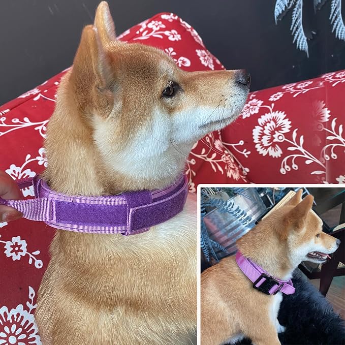 Tactical Dog Collar Adjustable Military Nylon Dog Collar with Control Handle and Heavy Duty Metal Buckle for Medium and Large Dogs (Purple,XXL)