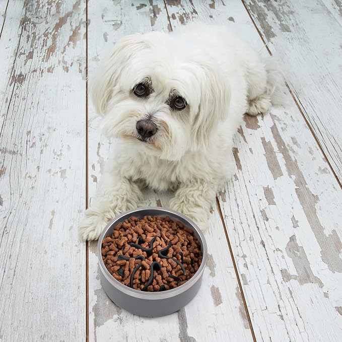 Jaoul Slow Feeder Dog Bowls Insert, Puzzle Slow Feeder Insert with 21 Octopus Suction Cups for Small Breed Dog Food Bowls (4 inch, Black)
