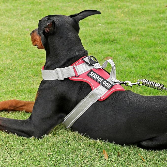 Service Dog Harness, Reflective Dog Vest Harness with 5 PCS Patches, Adjustable Soft Oxford Pet Harness, Inner Layer Mesh, Easy to Control for Small Medium Large Dogs