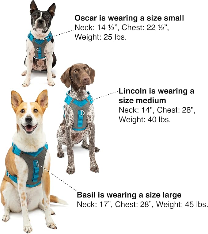 Kurgo Journey Air Dog Harness - Secure Fit for Active Dogs - Padded Chest - Lightweight Ripstop Fabric - Breathable Mesh - Reflective Trim - Back Assist Handle - Orange - Medium