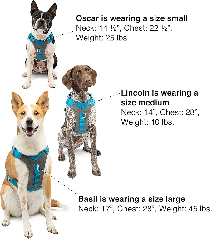 Kurgo Journey Air Dog Harness - Secure Fit for Active Dogs - Padded Chest - Lightweight Ripstop Fabric - Breathable Mesh - Reflective Trim - Back Assist Handle - Black - X-Small