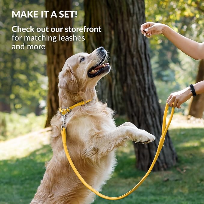 CollarDirect Reflective Rolled Leather Dog Collar, Soft Padded Round Puppy Collar, Handmade Genuine Leather Collar Dog Small Large Cat Collars 13 Colors (6-7 Inch, Yellow Reflective)