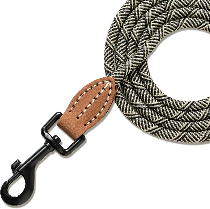 Mile High Life Small Dog Leash, Thin Rope Leash with Genuine Leather Connection and Heavy Duty Metal Clasp, Great for Small Medium Dogs(White,60 Inch-1/3)