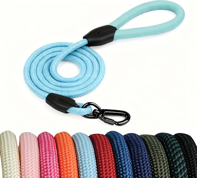 Small Dog Leash, 6ft Dog Leashes for Medium Dogs, Blue Leash, Rope Dogs Leashes, Strong Nylon Pet Lead, Pet Leather, Puppy Lead, Comfortable Leather Handle (Light Blue, 5 Feet)