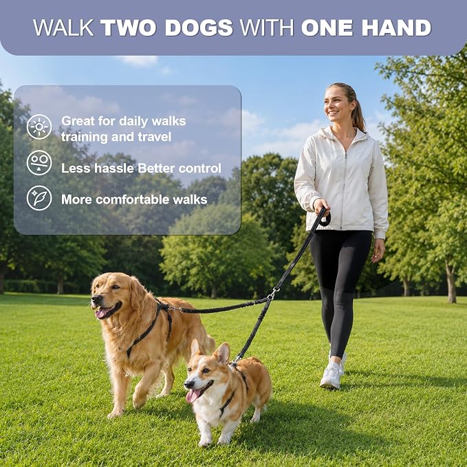 Double Dog Leash for Two Dogs, Complete Set with 31.5" Main Leash + Adjustable Splitter, Padded Handle, D-Ring, 360° Swivel, Shock-Absorbing Bungee, Reflective for Small Medium Large Dogs (Black)
