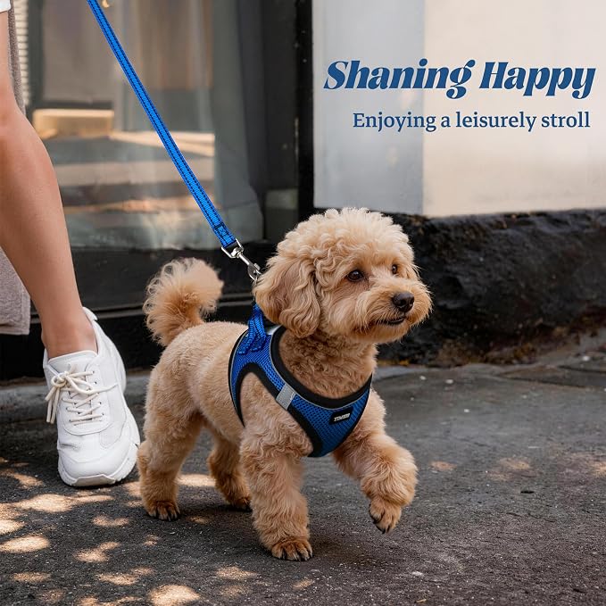 YIMEIS Dog Harness and Leash Set, No Pull Soft Mesh Pet Harness, Reflective Adjustable Puppy Vest for Small Medium Large Dogs, Cats (Royal Blue & Black, Medium (Pack of 1)