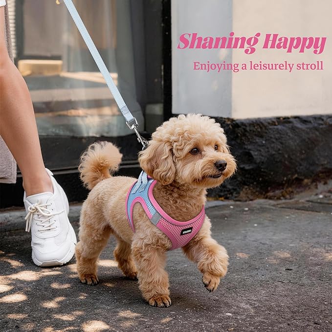 YIMEIS Dog Harness and Leash Set, No Pull Soft Mesh Pet Harness, Reflective Adjustable Puppy Vest for Small Medium Large Dogs, Cats (Pinkblue, Small (Pack of 1)
