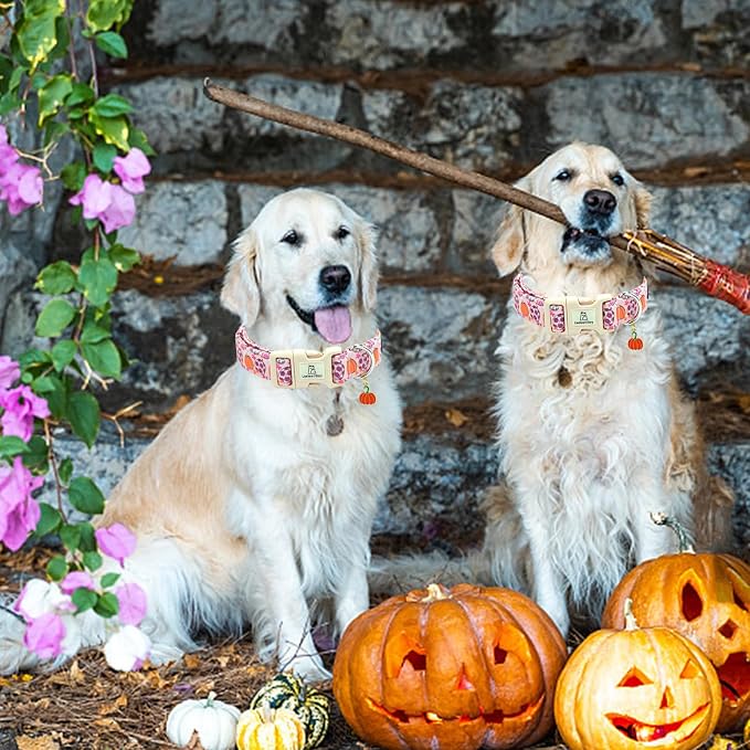 Lionheart glory Halloween Dog Collar-Pumpkin Floral Fall Pink Dog Collars with Cute Pendant Soft Adjustable Collar for X-Small Puppy Dogs Female Male Collars Party Pet Gift