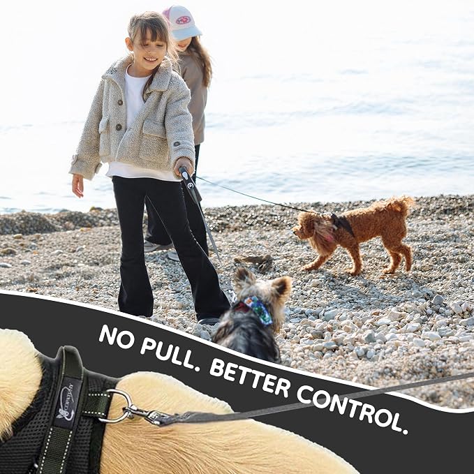 No Pull Reflective Adjustable Dog Harness with Handle- Comfortable Soft All Weather Mesh, Easy On Puppy Harness for Small Medium and Large Dogs (Black) XX-Small