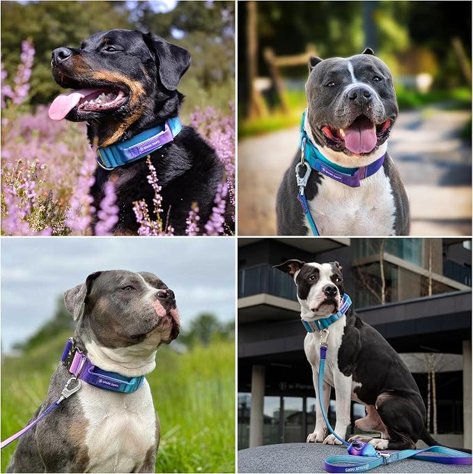 Spark Paws Tactical Dog Collar - Heavy Duty, Premium Quality, Thick and Durable for Large and Medium Dogs - 90s Retro - L - 1.5"