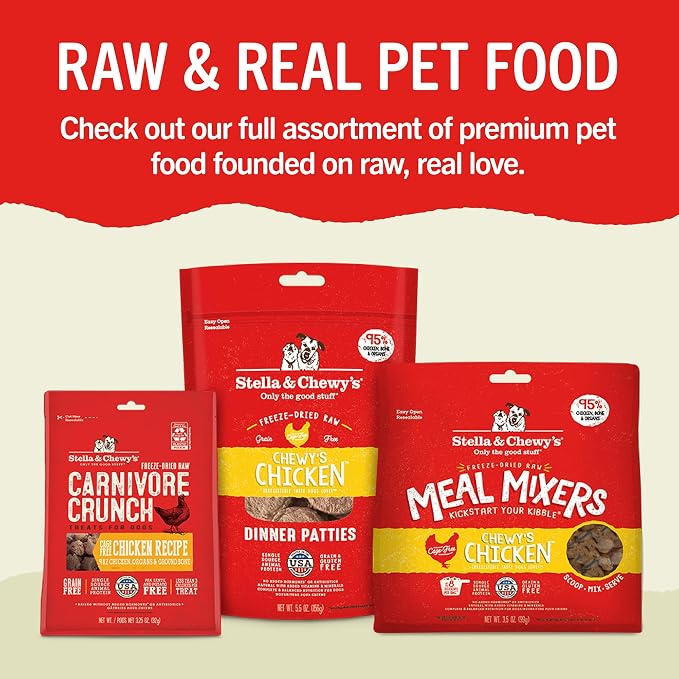 Stella & Chewy's Dental Delights with Freeze-Dried Chicken - Large Dental Treats for Dogs, 23.2 Ounce Bag