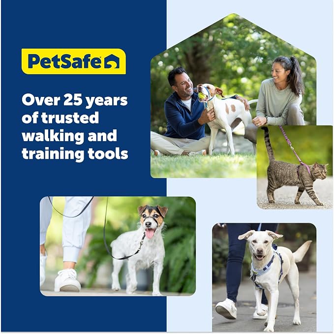 PetSafe Easy Walk Comfort No-Pull Dog Harness Full-Body Padding - Better Walks on the First Use - 5 Points of Adjustment Large, Green