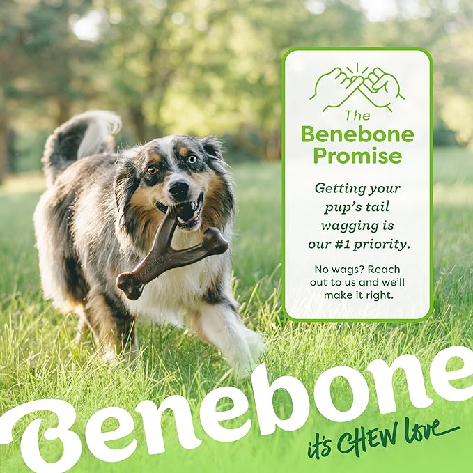Benebone 3-Pack Wishbone Durable Dog Chew Toy for Aggressive Chewers, Variety Pack-Bacon, Chicken, Peanut Made in USA, Small