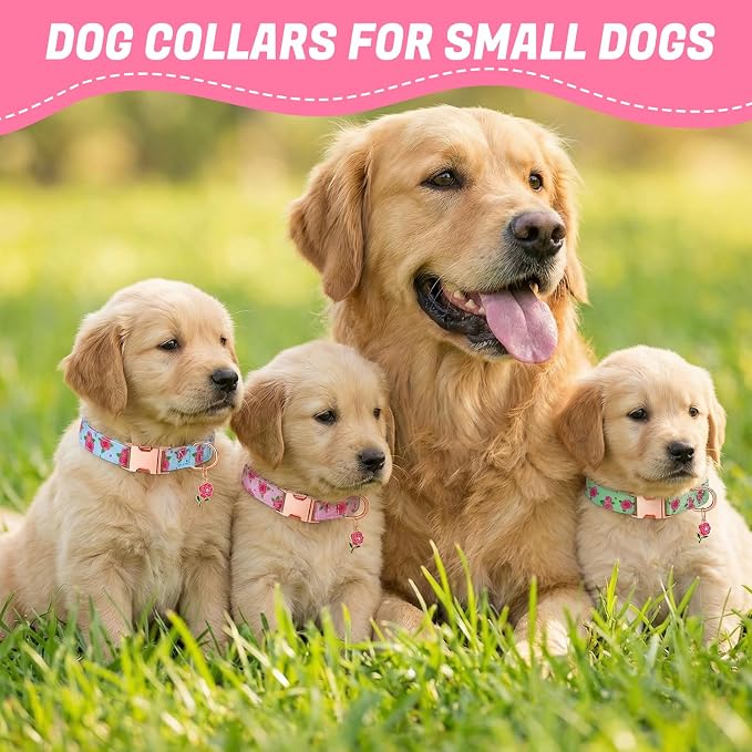 3 Pack Floral Dog Collars for Small Dogs Rose Flower Dog Collars with Pendant for Girl Female Dogs Cute Puppy Pet Collar