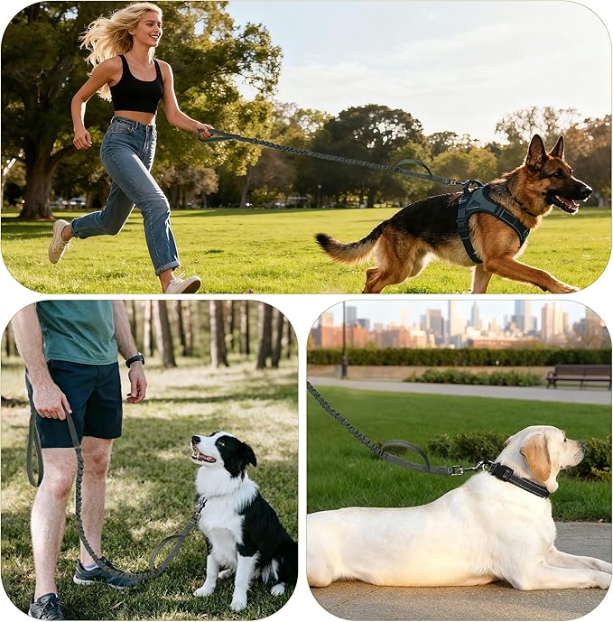 FOVRLZSE Reflective Bungee Dog Leash for Small Medium Large Dogs - 4FT to 5FT Adjustable Shock Absorbing Leash with Double Padded Handle & 360 No Tangle Metal Clasp (Olive Green)