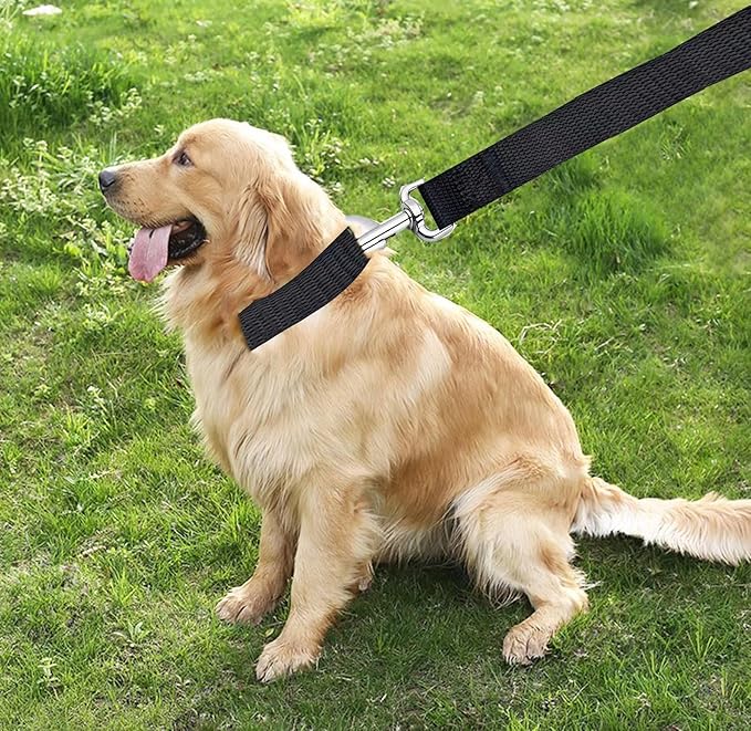 TAIAN 4FT/5FT/6FT Strong Dog Leash, Nylon Dog Leashes for Small Medium Large Dogs (Black, 1 in x 10 ft)