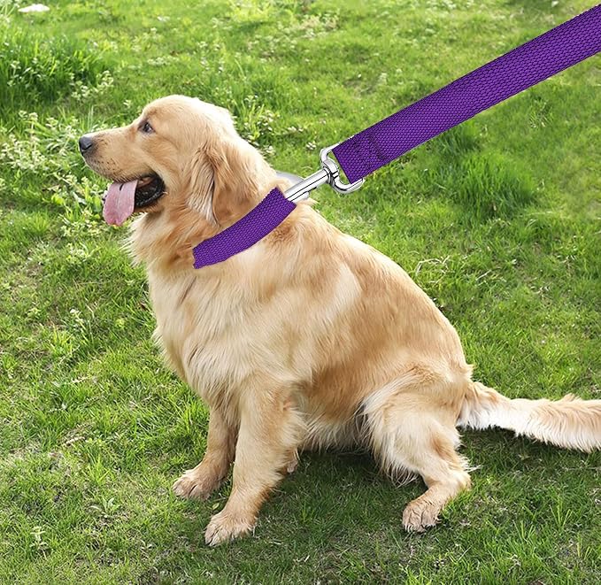 TAIAN 6 FT Strong Dog Leash, Nylon Dog Leashes for Small Medium Large Dogs
