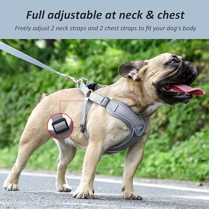 Dog Harness with Leash Set, No Pull Adjustable Step in Dog Collars Harness with Breathable Padded Vest Harness for Small Medium Large Dogs Training and Running(L, Gray)