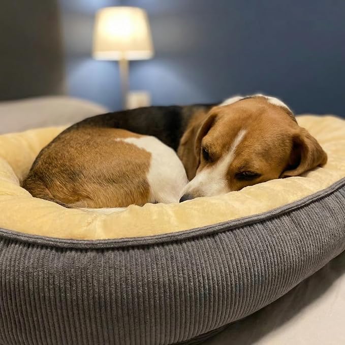 Calming Dog Bed for Medium to Large Dogs 30"x21" - Orthopedic Washable Pet Bed with Anti-Slip Bottom, Indoor Soft Cat Bed with Removable Cover (Beige)