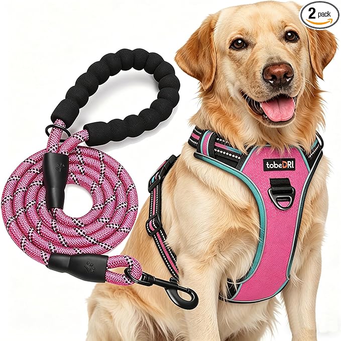 tobeDRI No Pull Dog Harness Adjustable Reflective Oxford Easy Control Medium Large Harness with A Free Heavy Duty 5ft Leash