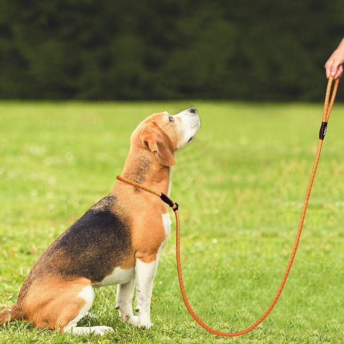 PetiFine Slip Lead, 6FT x 1/2" Reflective Heavy Duty Adjustable Nylon Dog Rope Leash for Small Medium Large Dogs (Orange)