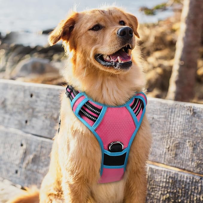rabbitgoo Dog Harness for Large Dogs, 3 Buckles Easy On & Off No Pull Pet Vest, Soft Padded Walking Pet Harness with Control Handle, Adjustable and Reflective, Rose Pink & Blue, XL