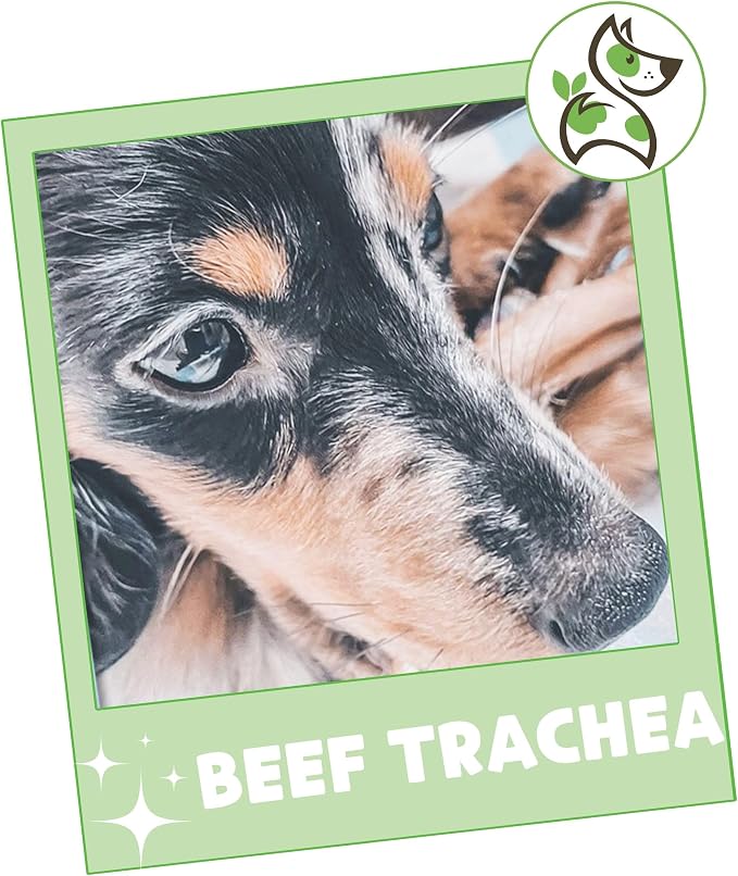 Nature Gnaws Beef Trachea Chews for Dogs 3" (12 Count) - Long Lasting Natural Crunchy Dog Chew Bones - Rawhide Free (Pack of 2)