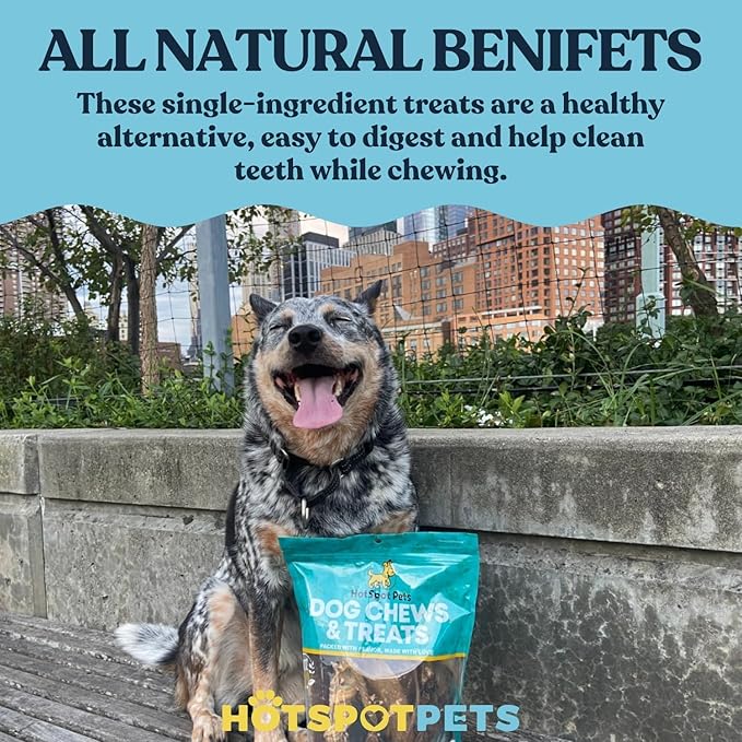 hotspot pets 20 Pack - 7 Inch USDA Certified Rawhide Dog Chews - from Grass Fed Brazilian Cows - Promotes Tooth Health and Good Behavior (20 Pack)
