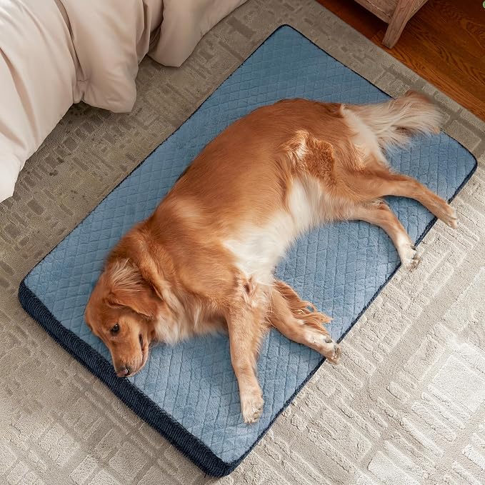 JOEJOY Orthopedic Dog Bed for Extra Large Dogs, Washable Dog Crate Bed Large Sized with Removable Cover, Egg Memory Foam Big Pet Beds, Light Blue, 47"x29"