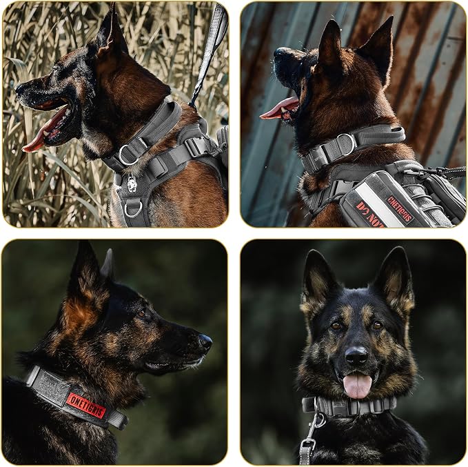 OneTigris Tough Dog Collars, Tactical Dog Collar with Handle, Milltary Adjustable Dog Collar with Heavy Duty Metal Buckle for Training (Large,Gray)
