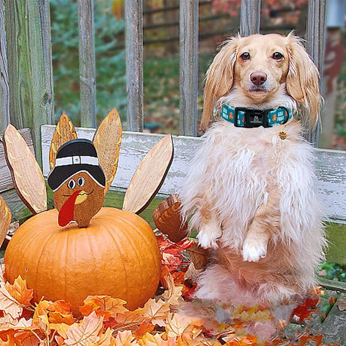 Lionheart glory Thanksgiving Dog Collar-Turkey Fall Cute Dog Collars with Plastic Buckle Duty Soft Adjustable Collar for X-Small Puppy Dogs Girls Boys Collars Party Pet Gift