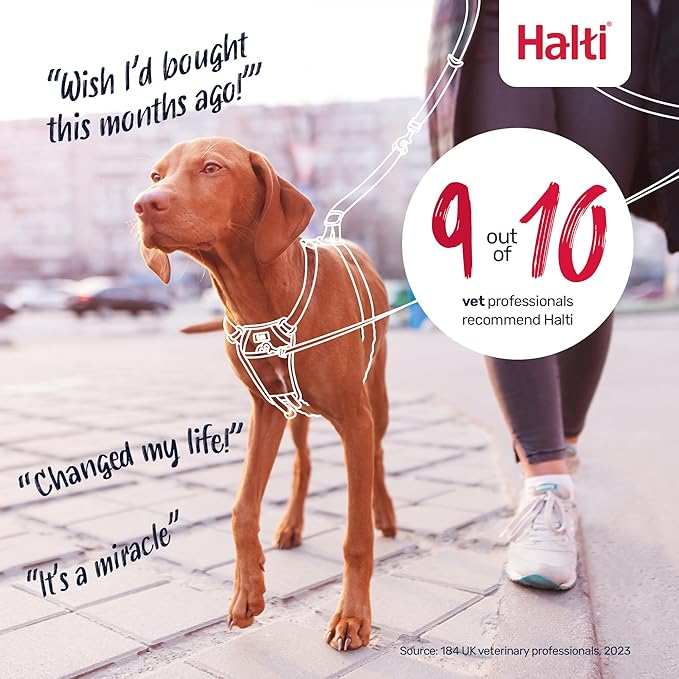 Halti No Pull Harness - Stop Your Dog Pulling on The Leash. Adjustable, Lightweight and Easy to Use. Reflective Dog Training Harness for Large Dogs (Size L, Burnt Orange)
