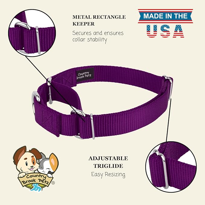 Country Brook Petz - Martingale Dog Collar - Heavy-Duty Training Collar with No Buckle - Service Dog Collar for All Pups - 20 Vibrant Colors (Purple, 1 Inch, Large)