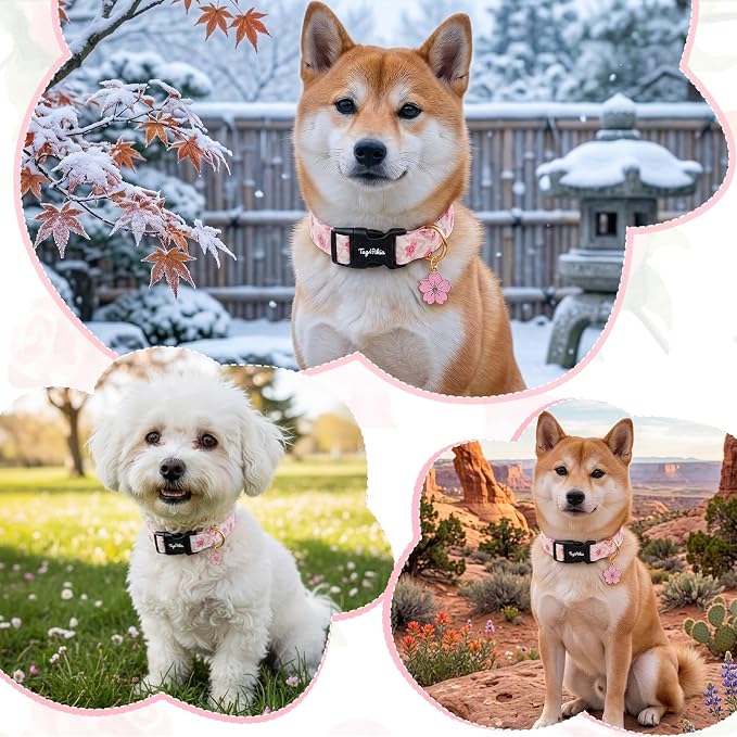Dog Collar with Pink Cherry Blossom Patterns, Spring Summer Collection Dog Collar with Exquisite Pendant, Durable Adjustable Collars for Gifts & Daily Use-S