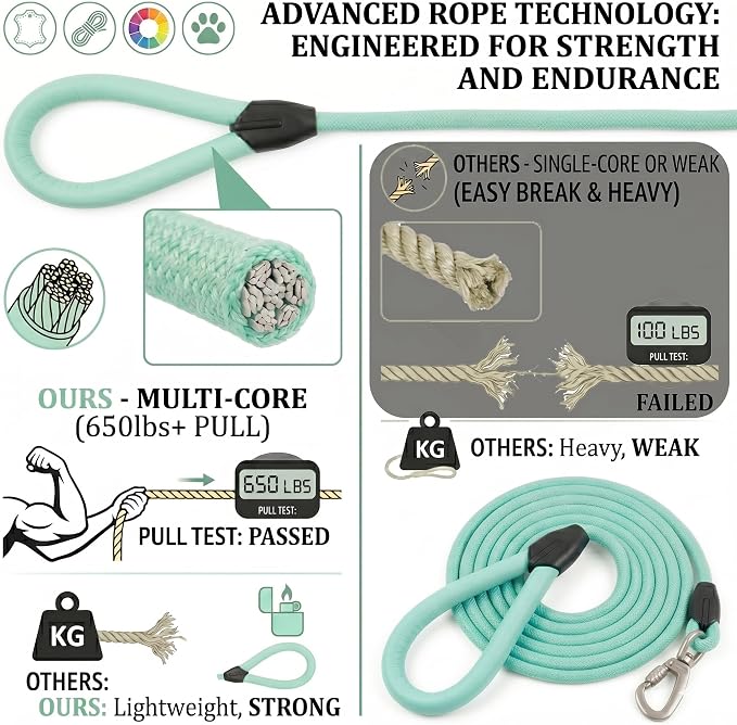 Rope Dog Leash, Macaron Colors Dog Leash, Comfortable Leather Handle, Resistant to Dirt and Bite, Strong Nylon Pet Lead for Small, Medium, Large Dogs (Mint Green, 5 Feet)