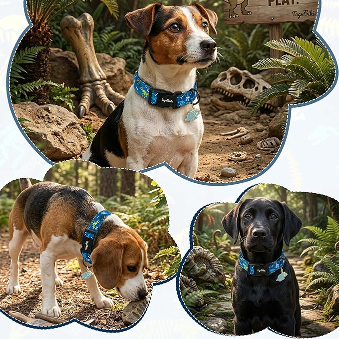 Dinosaur Dog Collar, Cute Boy Dog Collars for Small Medium Large Dogs, Blue with Dino Skeleton Print Soft Cotton Adjustable Puppy Collar, Male Dogs Pet Collar for Gifts & Daily Use-S