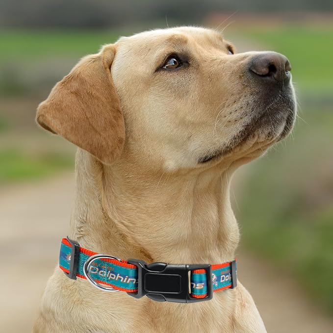 Pets First NFL Miami Dolphins Licensed PET COLLAR, Extra Large - Heavy-Duty, Strong, and Durable Dog Collar. Available in 31 Football Teams and 4 Sizes