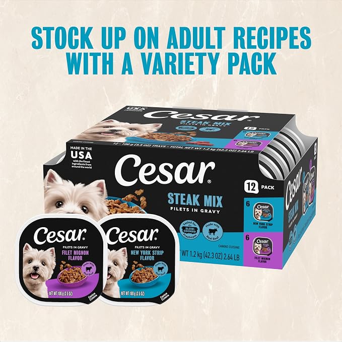 Cesar Filets in Gravy Adult Wet Dog Food Variety Pack, Filet Mignon and New York Strip Flavors, 3.5 oz. Easy Peel Dog Food Tray, 12 Count (Pack of 1)