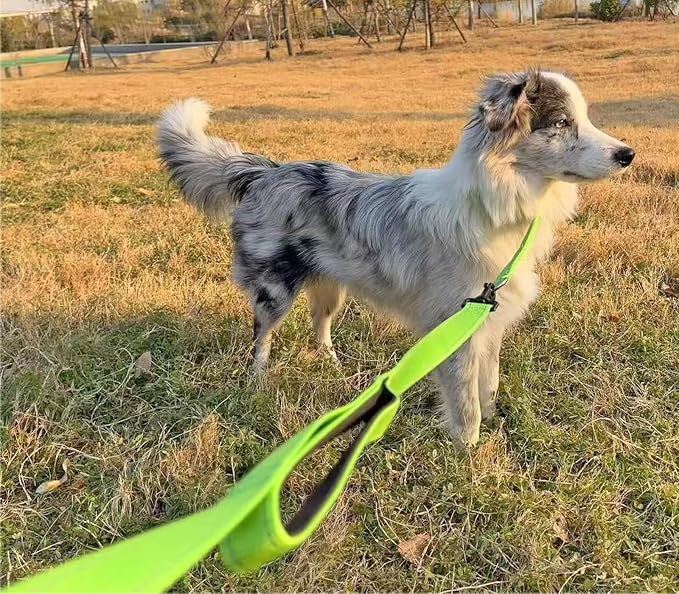 3 Handle Dog Leash, 10FT Triple Handle Reflective Stitching with Padded Traffic Handles, Heavy Duty, Training Pet Lead for Control and Safety (Pink)