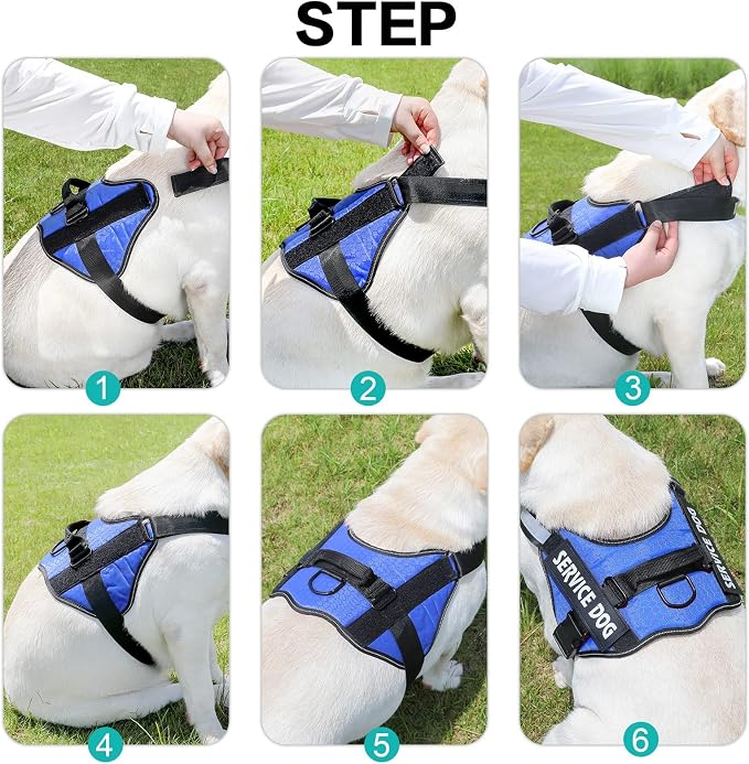 MUMUPET Custom Dog Harness Vest with 2 Personalized Name & Phone Patches, No Pull Reflective Adjustable with Handle, Soft Breathable Padding for Large Dogs (Blue, L)