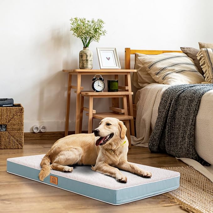 Sunheir Orthopedic Dog Beds for Small Dogs, Waterproof Puppy Bed with Removable Washable Cover, Non-Slip Bottom and Egg-Crate Foam, (Blue, 24.0" L x 16.0" W x 3.0" Th)