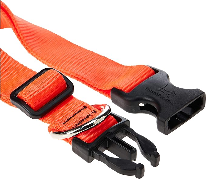 LupinePet Basics 1" Blaze Orange 12-20" Adjustable Collar for Medium and Larger Dogs