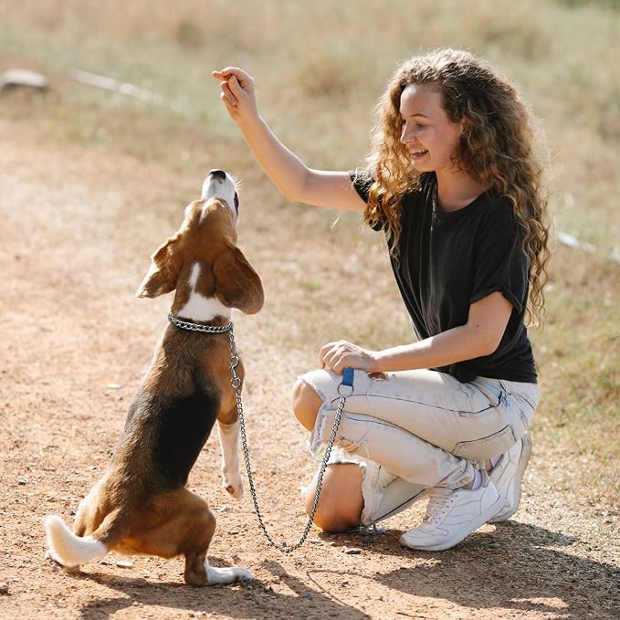 Chain Dog Leash with Padded Handle, Durable Chew Proof for Medium and Large Dogs (4 ft x 3.0 mm)