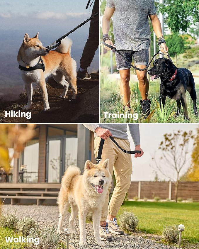OutdoorMaster Bungee Dog Leash, Heavy Duty Dog Leash with Shock Absorption, 2 Padded Handles Training Leash, Improved Dog Safety and Comfort - Black Upgraded, 6 FT