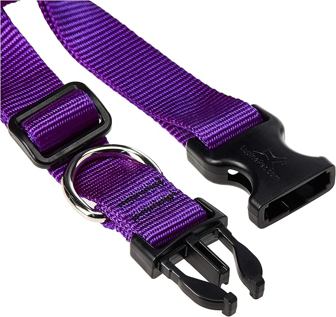 LupinePet Basics 1" Purple 16-28" Adjustable Collar for Large Dogs